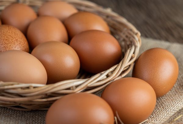 В Ростовской области производство яиц выросло почти на 30%