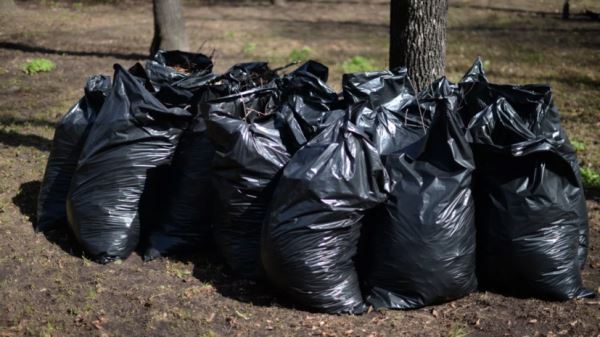 Эковолонтёры провели уборки в регионах России по случаю Дня эколога