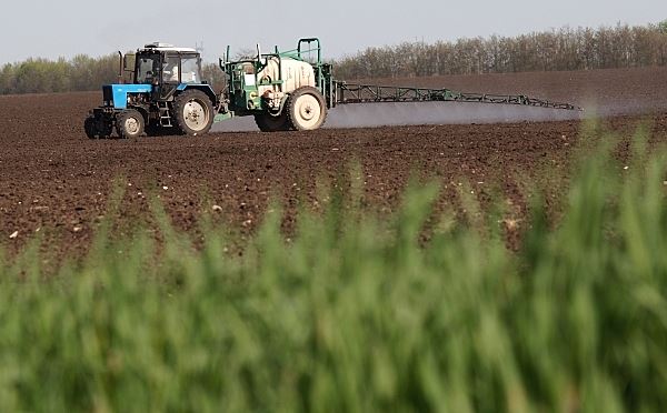«Не пособия, а сельское хозяйство»: В Польше рассказали, где зарабатывают беженцы с Украины
