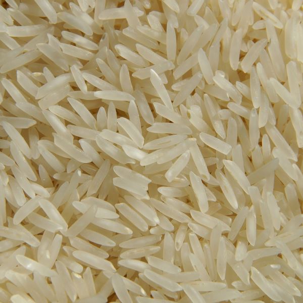Правительство Непала пытается спасти будущий урожай риса