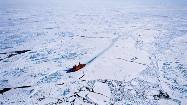 Тихоокеанский флот продолжит работу по очистке побережья Арктики от мусора