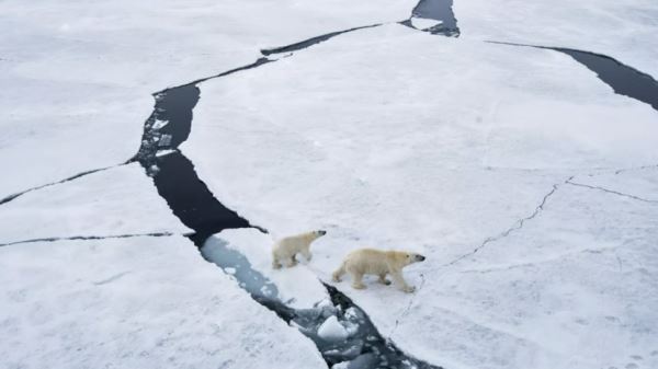 Волонтёры «Чистой Арктики» собрали 12 тонн мусора в Заполярье